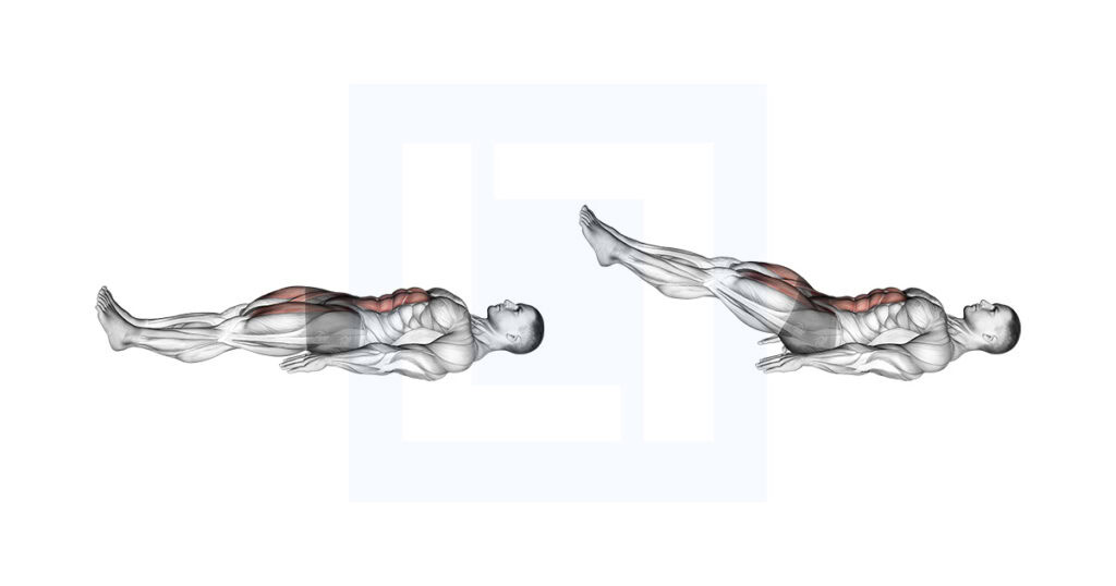 Lying Leg Raise and Hold Guide