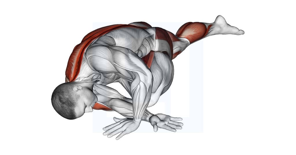 Lying Leg Tuck Hip Back Stretch