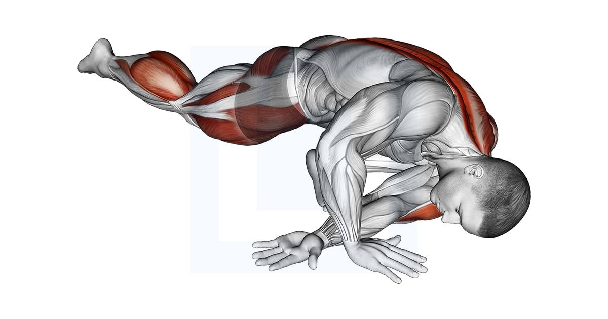 Lying Leg Tuck Hip Back to Right Stretch