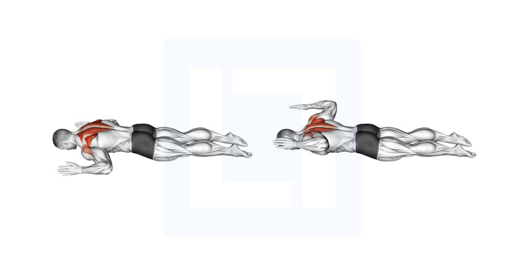 Prone Add Lying Prone W: Lower Trap Activator