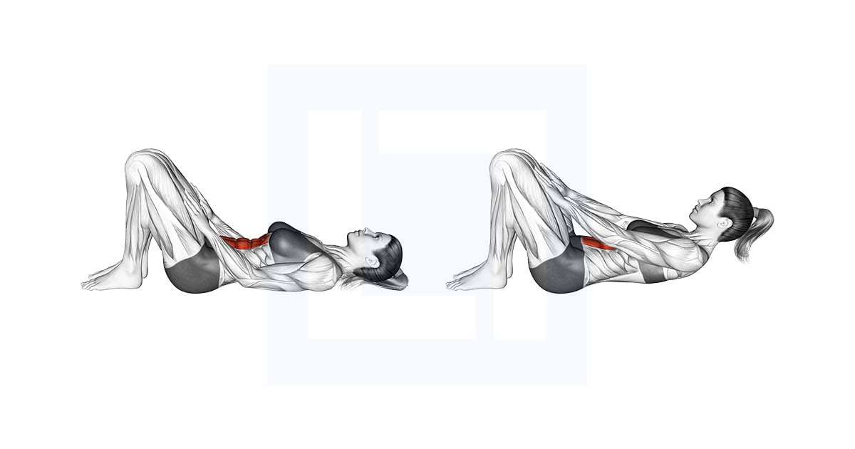 Lying Rectus Abdominis Activation Crunch