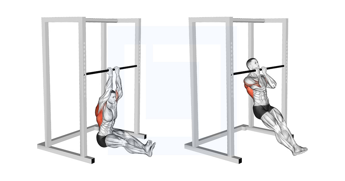 Narrow Seated Chin Up