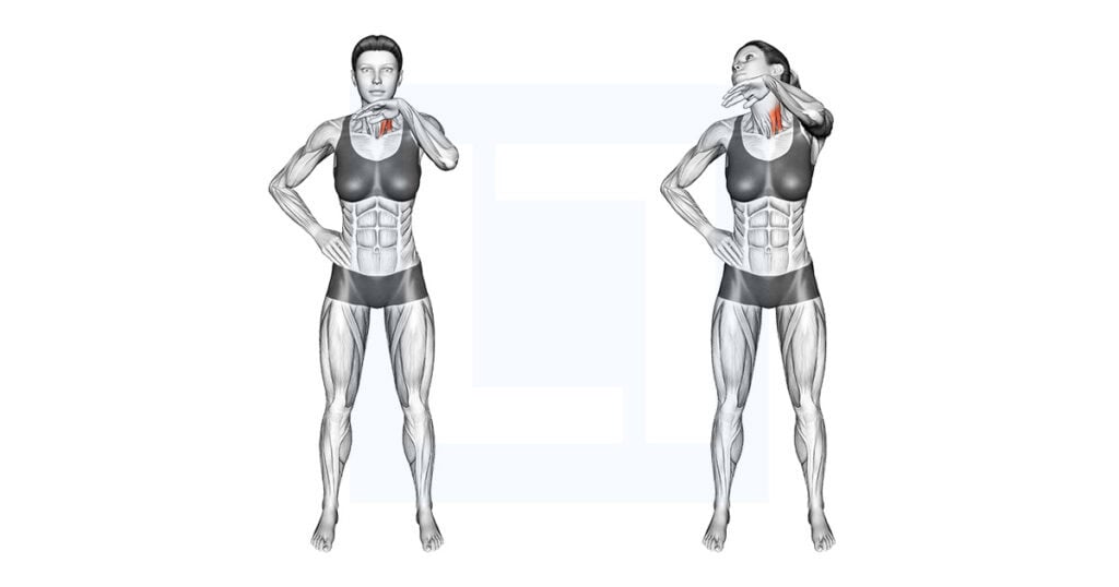 Neck Stretch With Hand Assisted