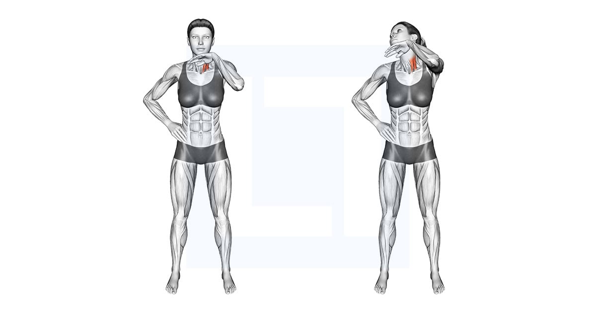 Neck Stretch with Hand Assisted