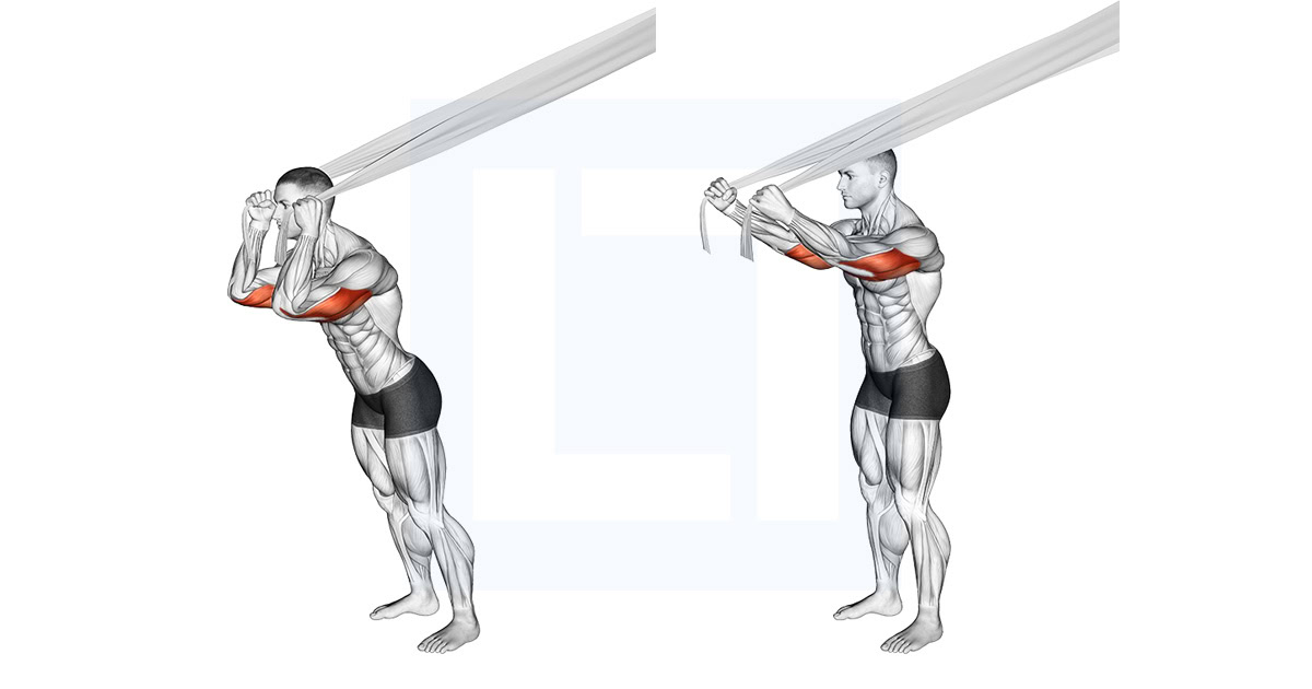 Overhead Triceps Extension with Bed Sheet
