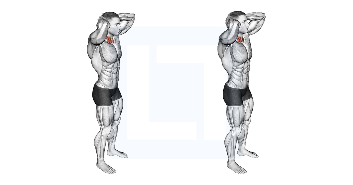 Posterior Neck Isometric