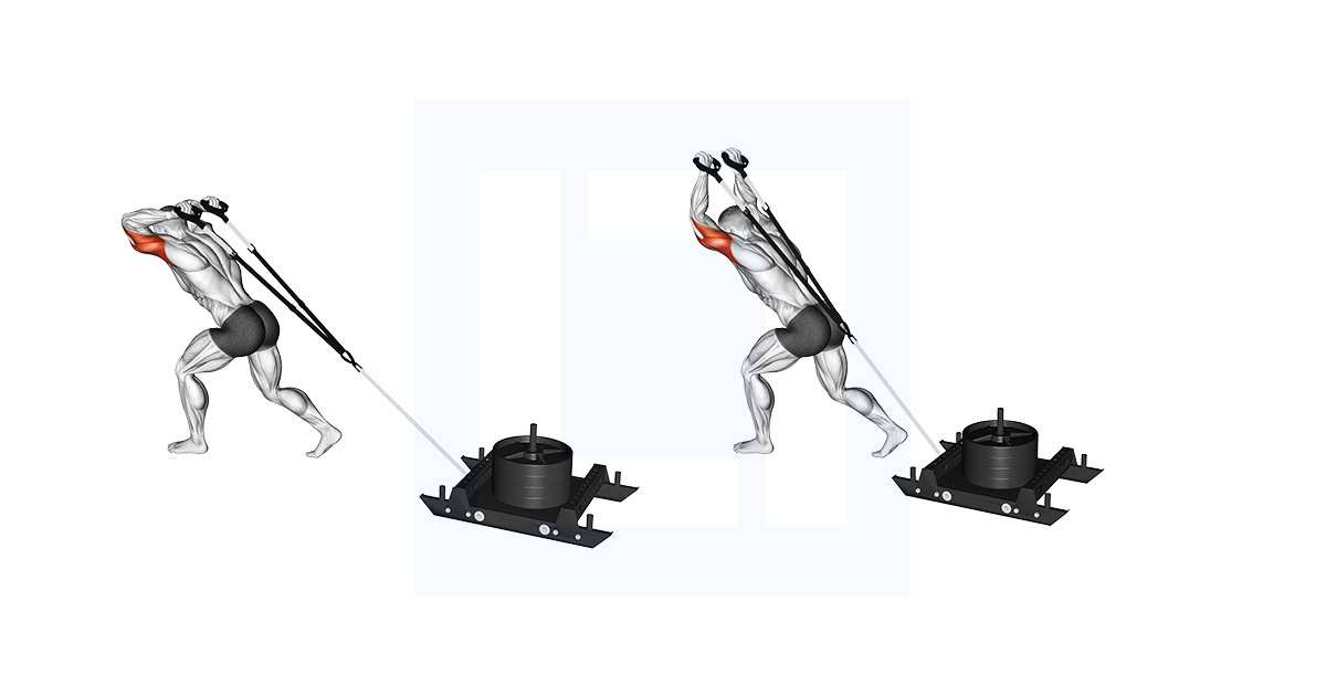 Power Sled Triceps Extension