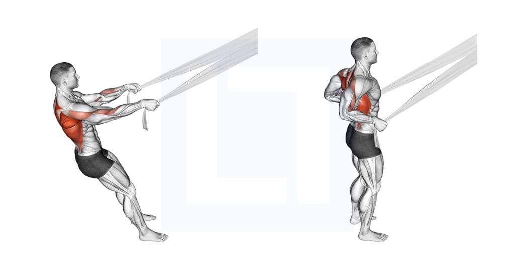 Rear Back Row Rear Delt Row with Bed Sheet Exercise Guide