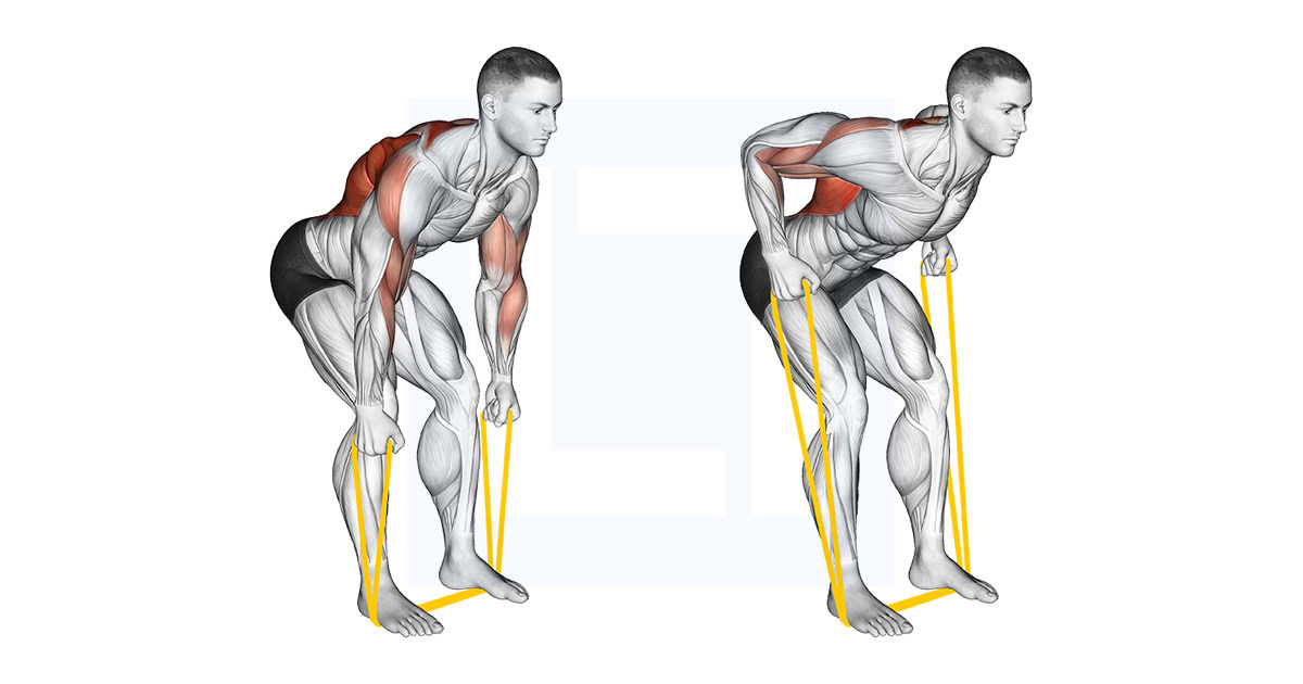 Resistance Band Bent Over Neutral Grip Row