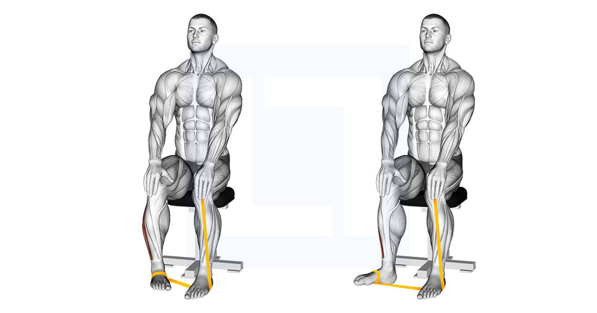 Resistance Band Foot Eversion