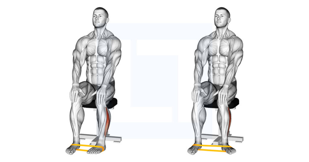 Resist External Rotation Resistance Band Foot External Rotation Exercise Guide
