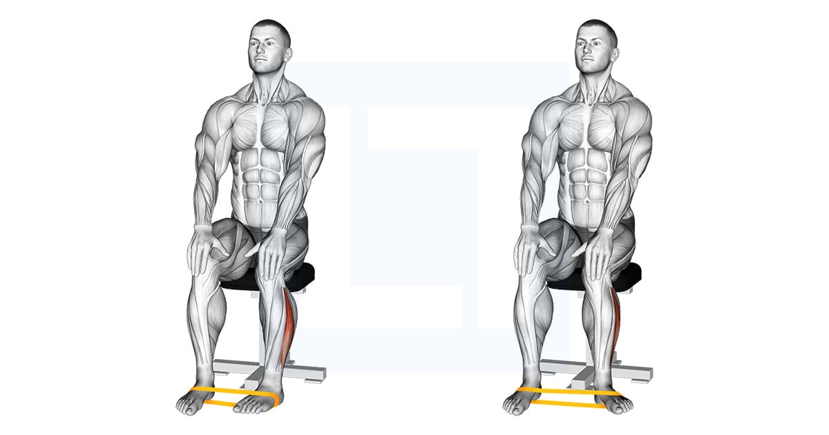 Resistance Band Foot External Rotation