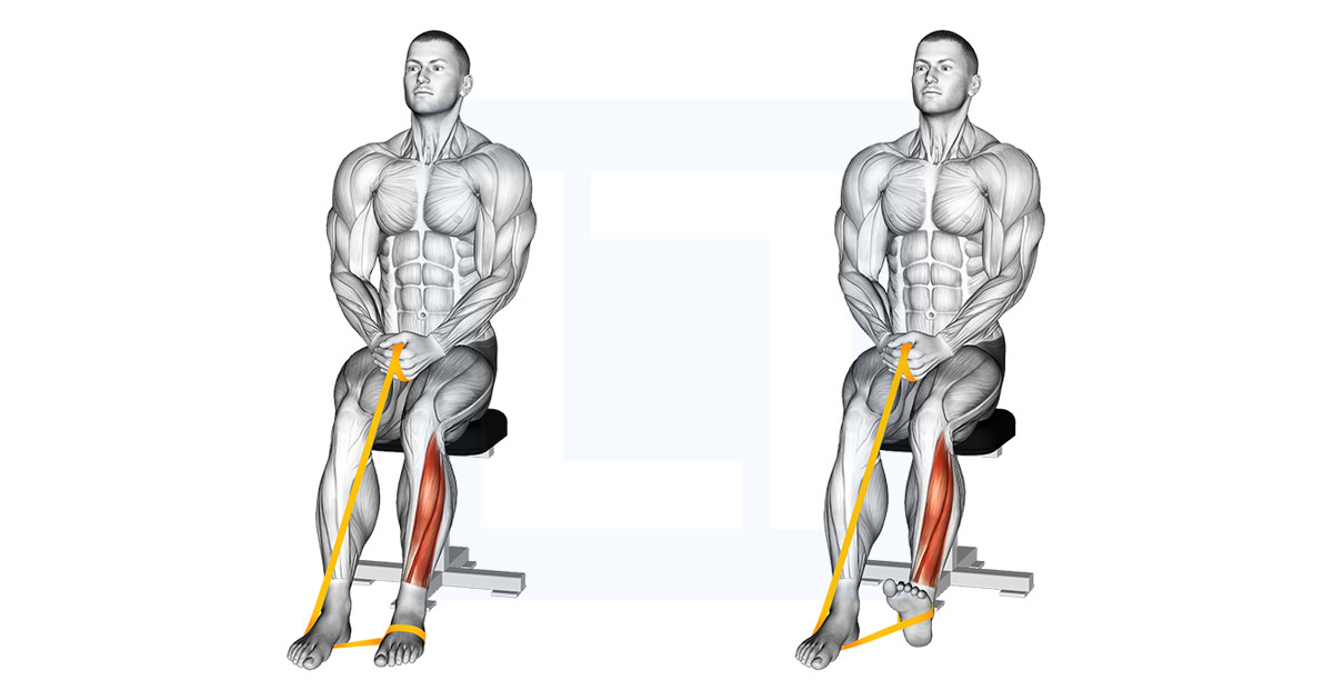 Resistance Band Foot Plantar Flexion