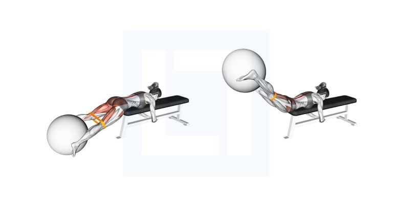 Band Reverse Hyper Ball Flat Bench