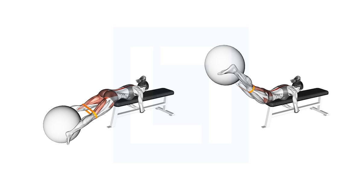 Resistance Band Reverse Hyper with Stability Ball on Flat Bench