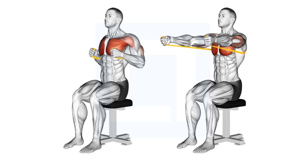 Band Seated Chest Press: Home Chest Press