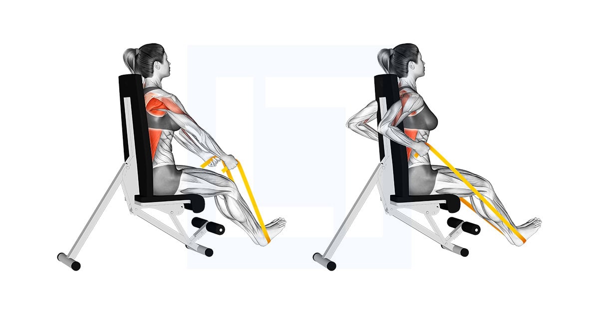 Resistance Band Seated Straight Back Row