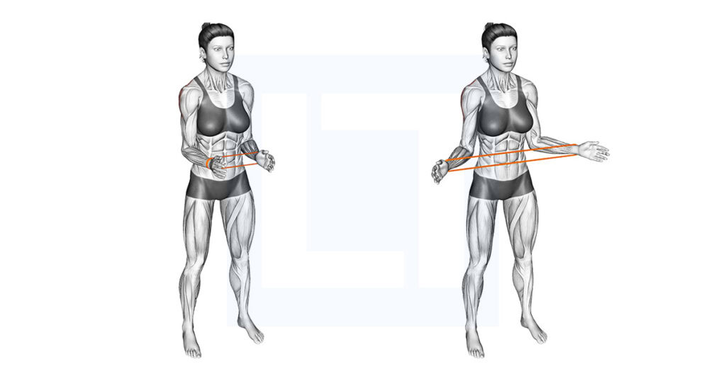 Standing Rotation Control Exercise Resistance Band Standing External Rotation Exercise Guide