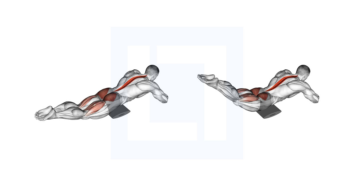 Reverse Back Extension on Floor