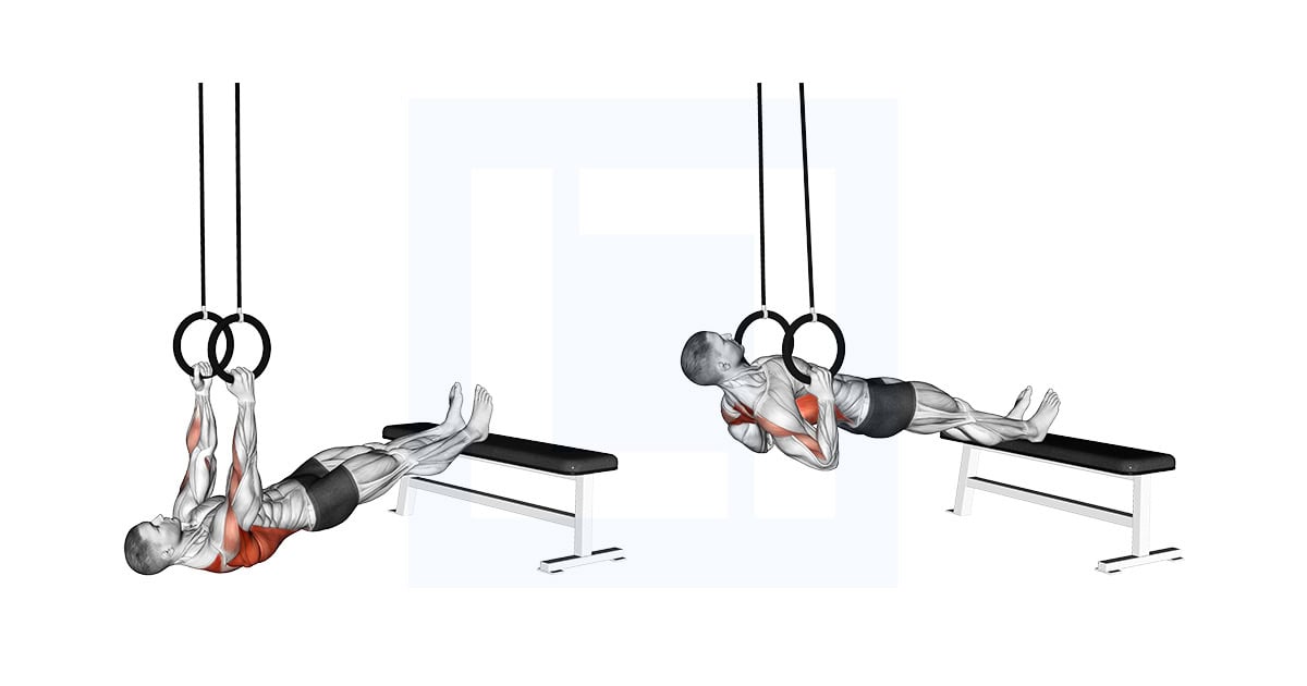 Ring Elevated Row