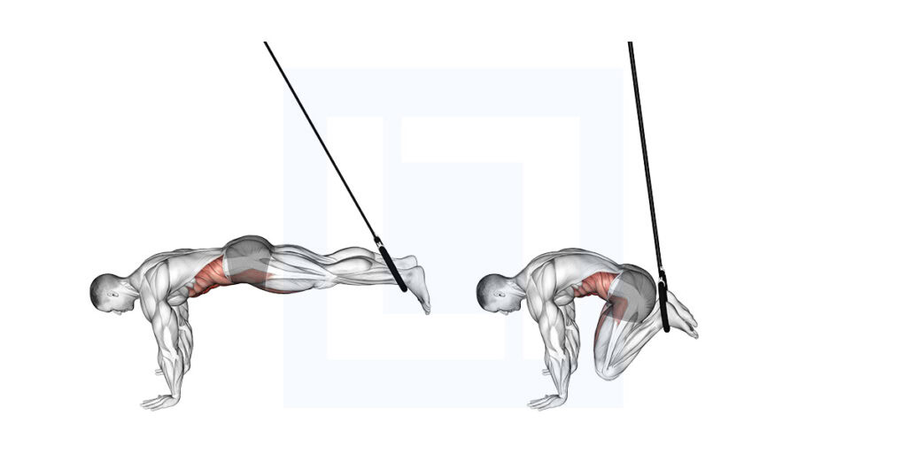 Ring Reverse Ab Rollout Exercise Guide