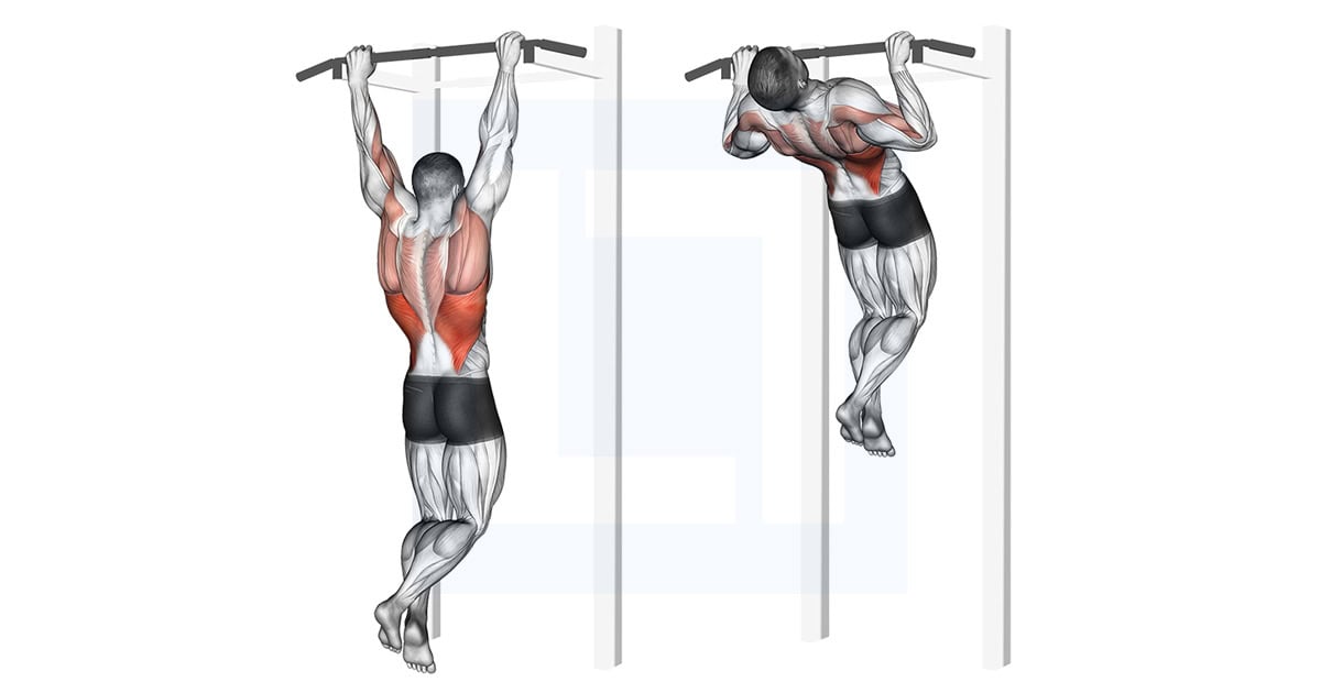 Rocky Pull Up Pulldown