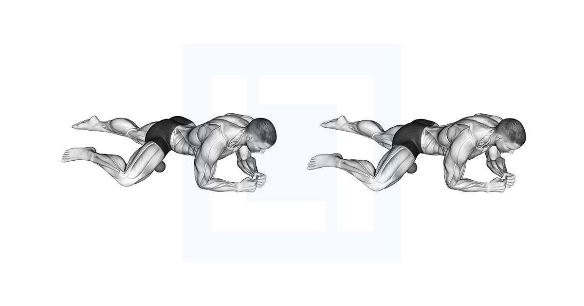 Roll Ball Adductors
