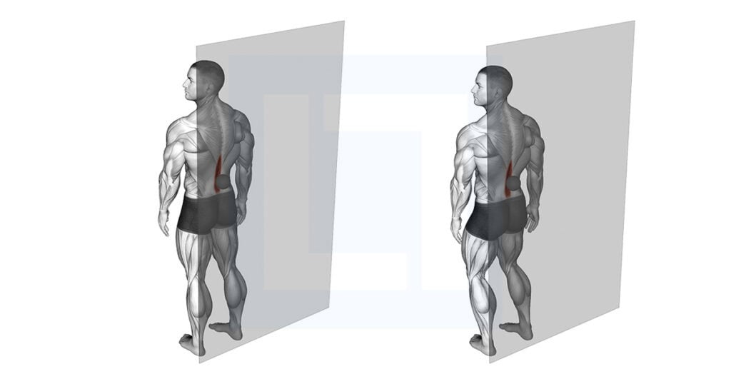 Roll Ball Erector Spinae