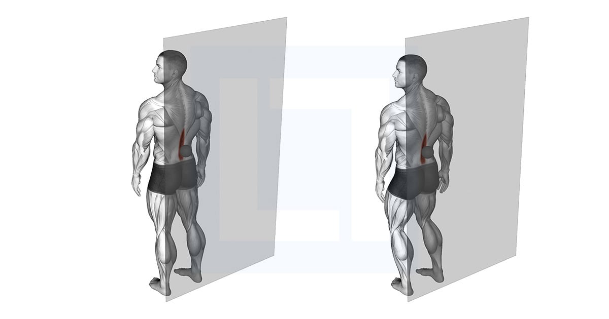 Roll Ball Erector Spinae
