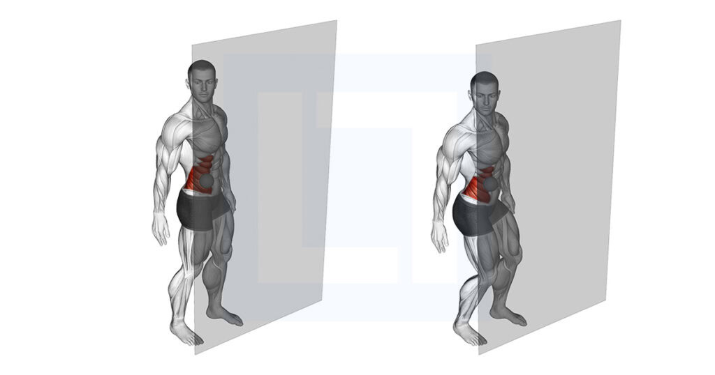 Roll Ball External Oblique