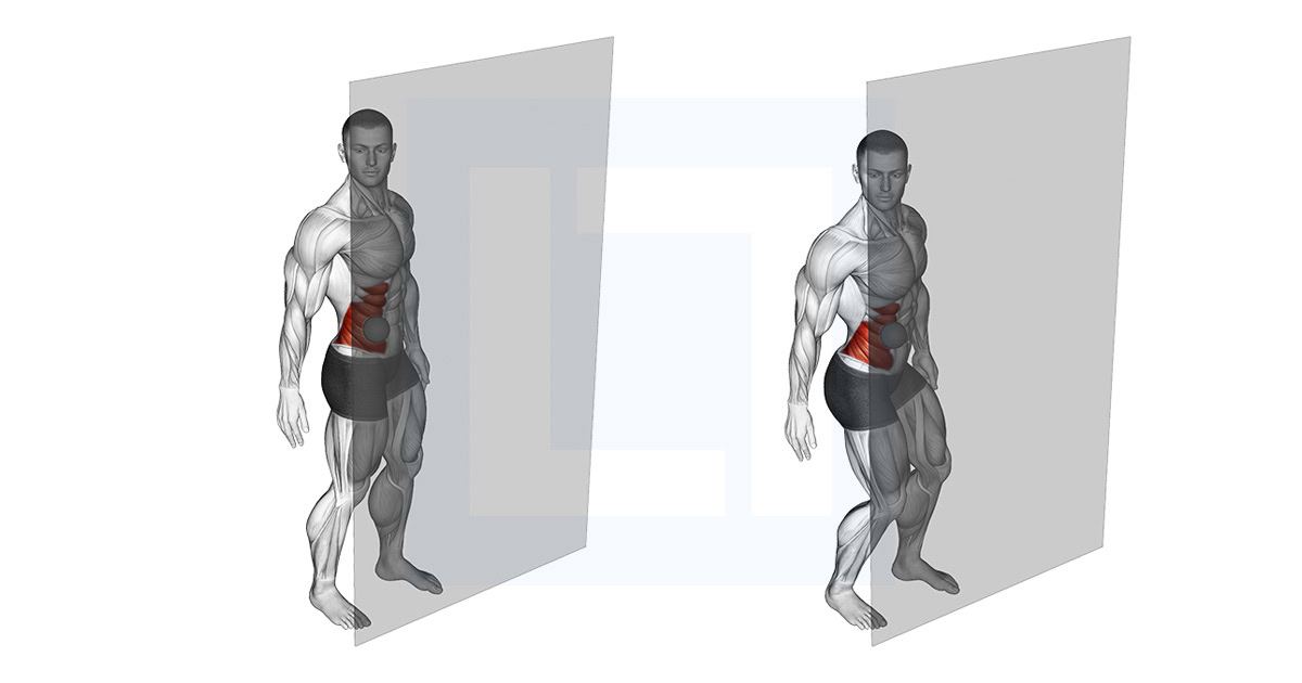Roll Ball External Oblique