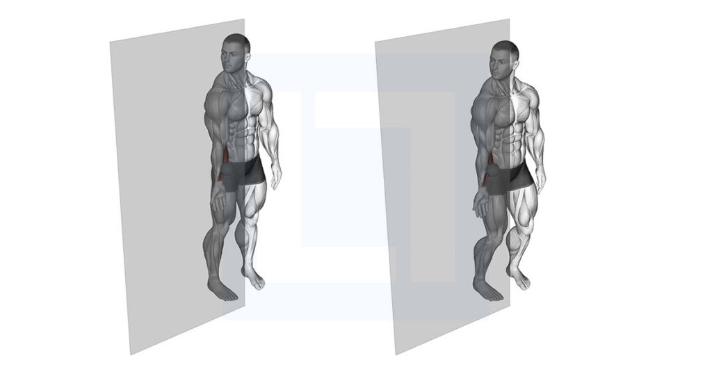 Roll Ball Forearm Flexors