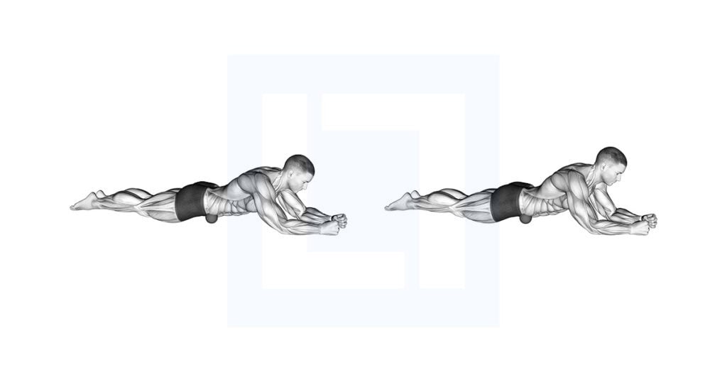 Roll Ball Iliacus Abdominal Region