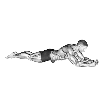 Roll Ball Iliacus Abdominal Region