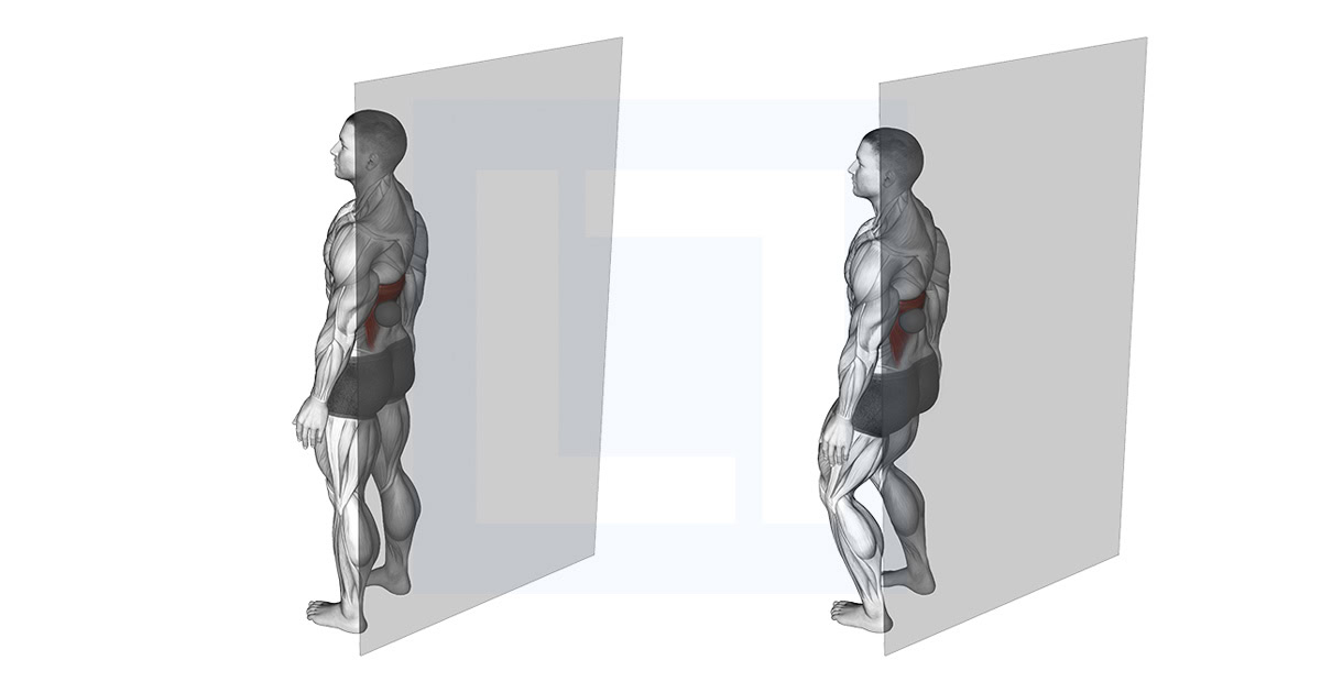 Roll Ball Latissimus Dorsi