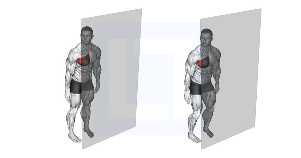 Roll Ball Pectoralis Major Sternal