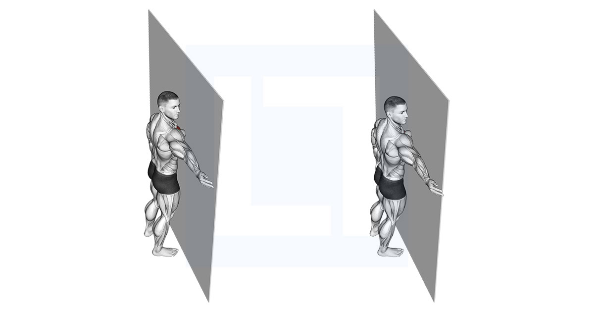Roll Ball Pectoral Release