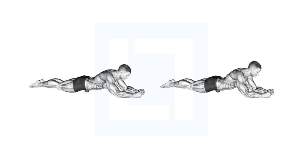 Roll Ball Psoas Abdominal Region