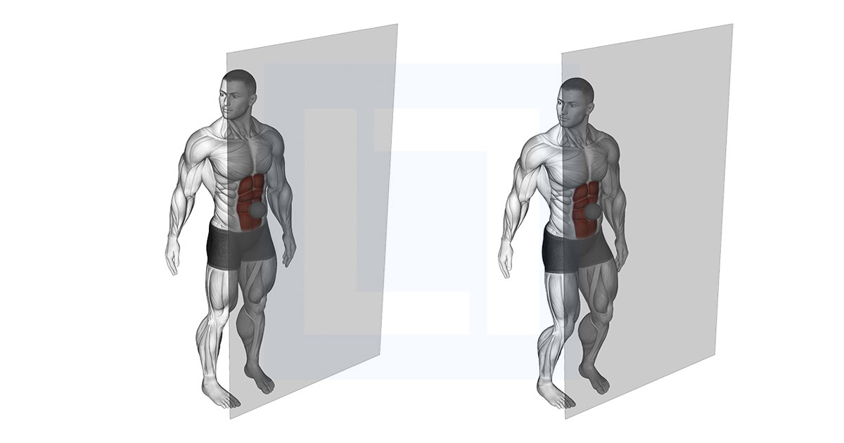 Roll Ball Rectus Abdominis