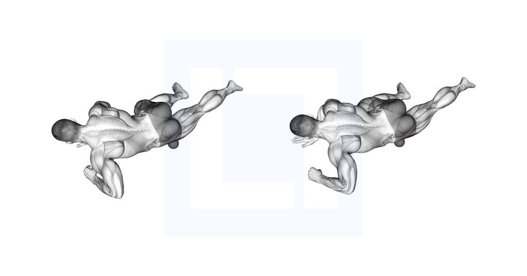 Roll Ball Tensor Fasciae Latae