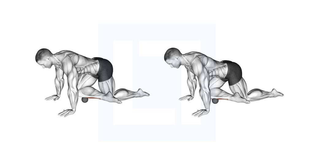 Roll Ball Tibialis Anterior