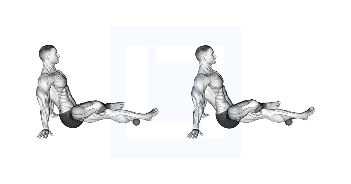 Roll Ball Tibialis Posterior