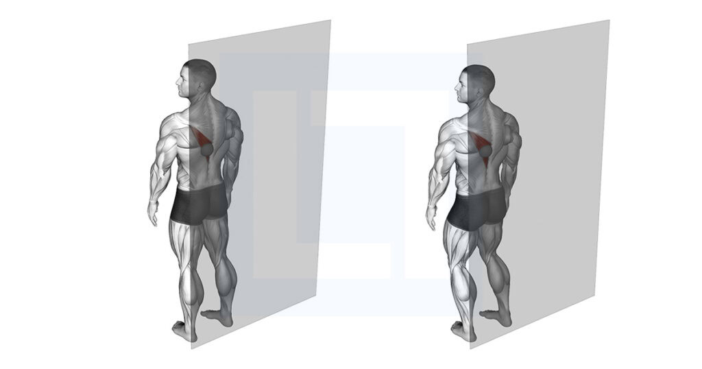 Roll Ball Trapezius Lower