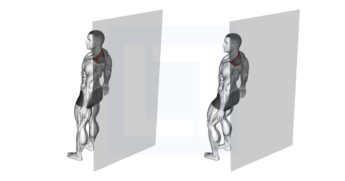 Roll Ball Trapezius Upper