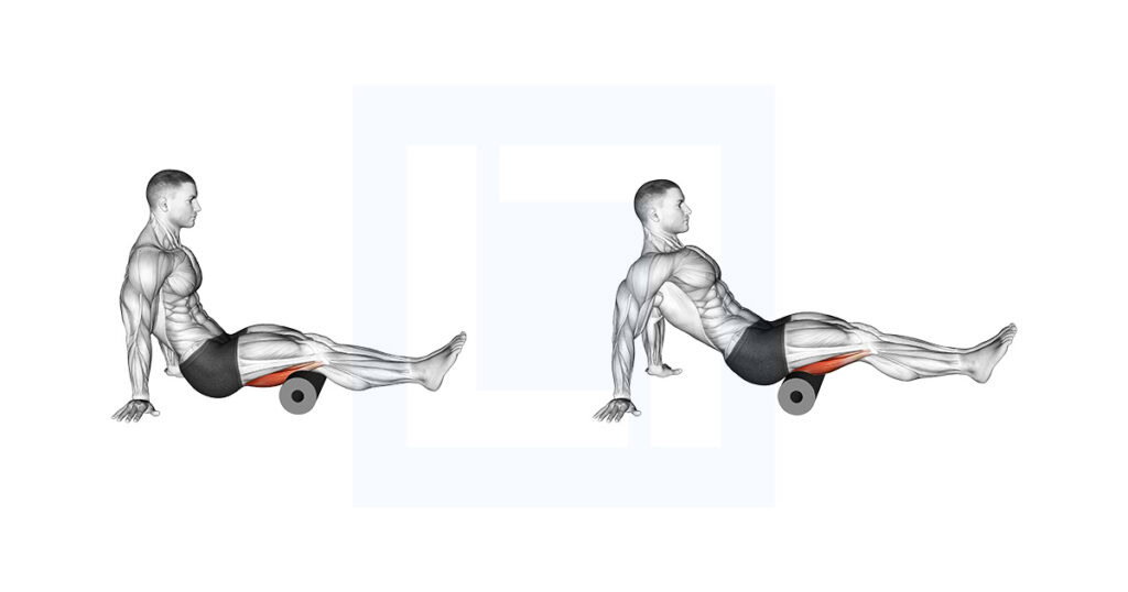 Rolling Pin Hamstrings Roll Hamstrings Sitting on Floor