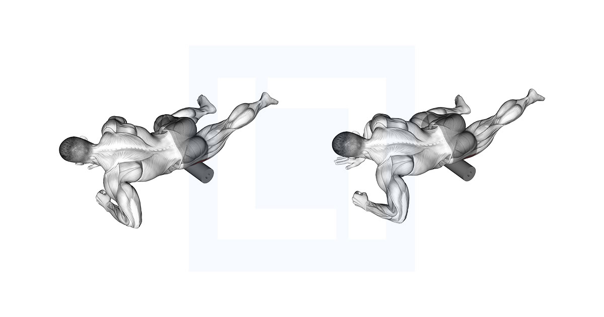 Roll Tensor Fasciae Latae