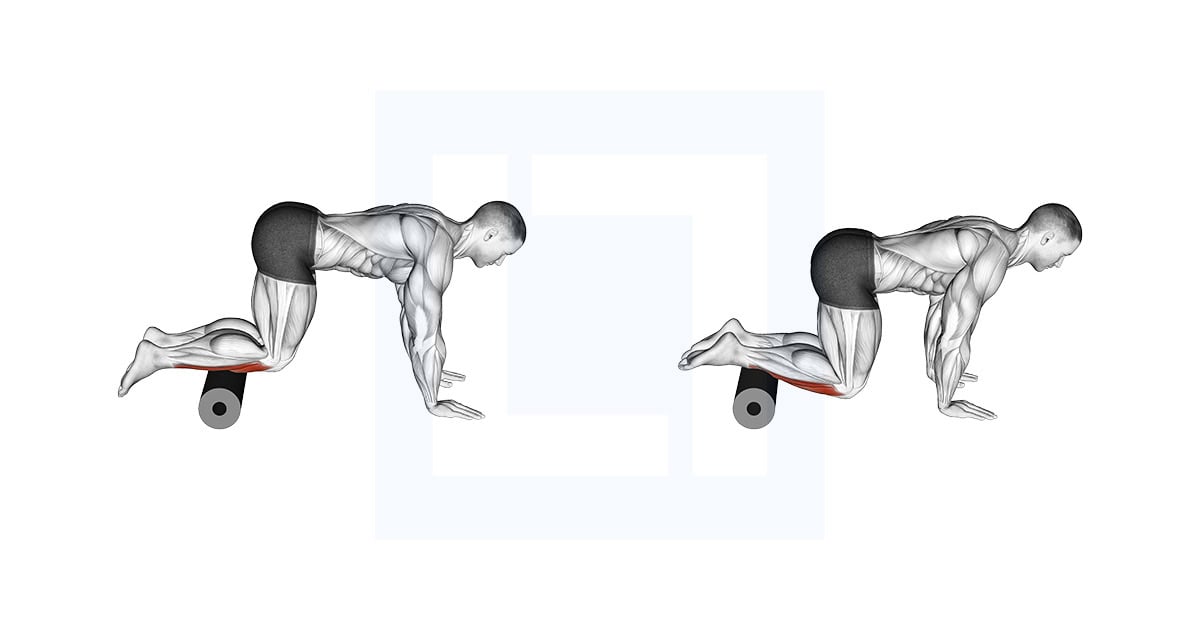 Roll Tibialis Anterior