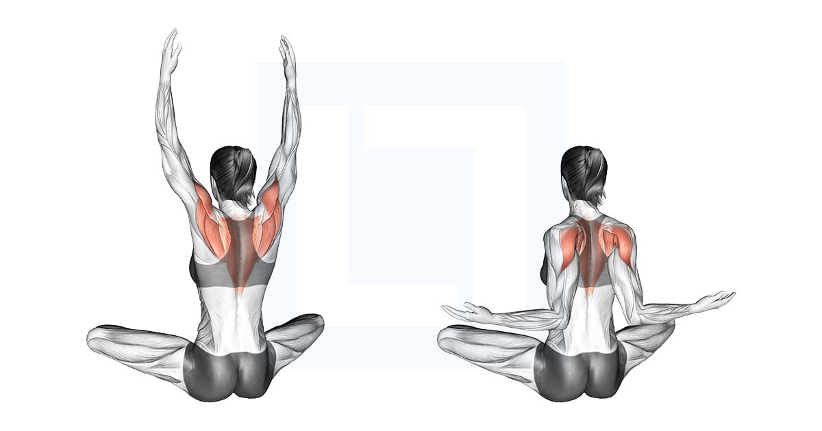 Seated Back Squeeze