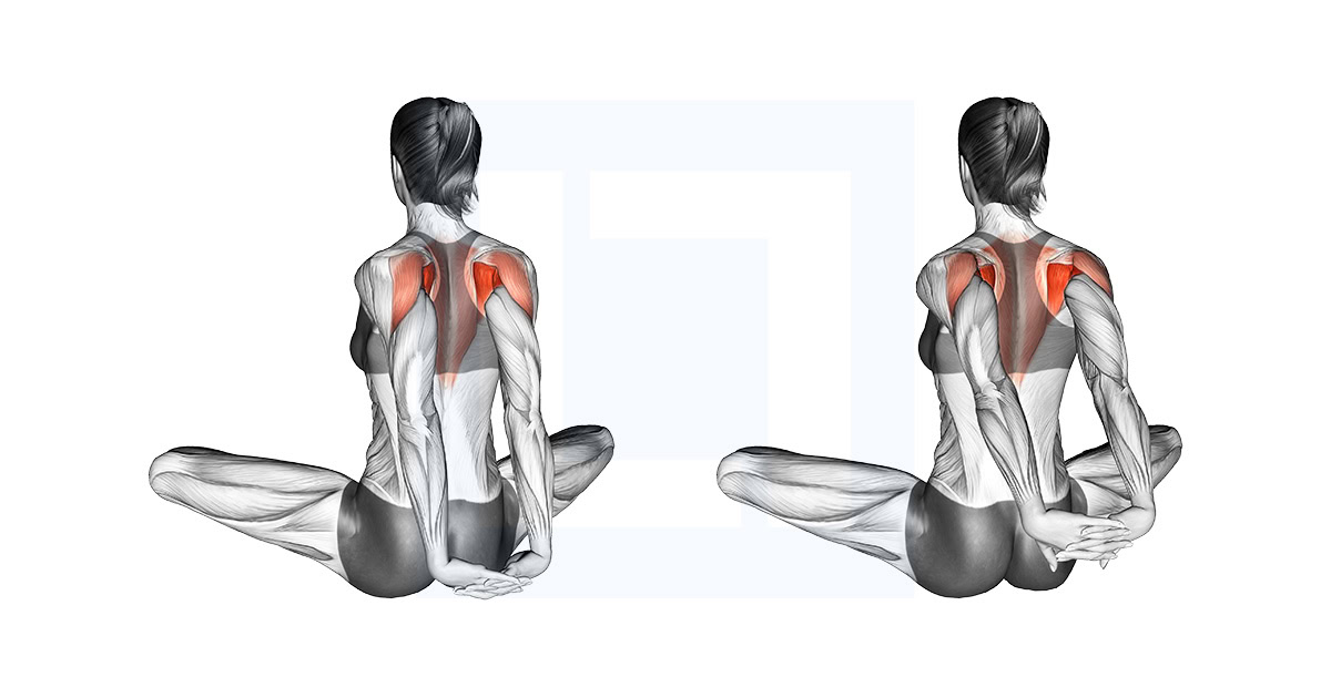Seated Behind Back Raise