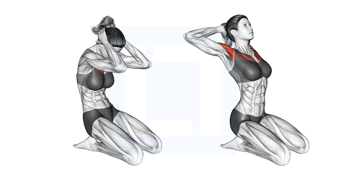Seated Chest Clam